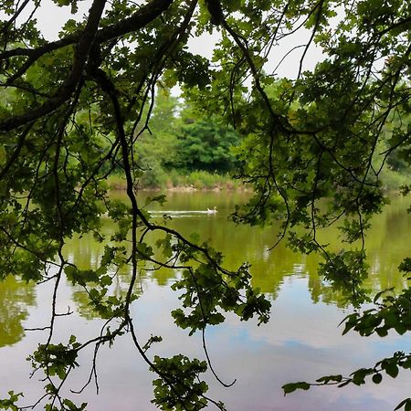 Espace Nature Studio Independant Proche Du Parc Des Oiseaux Sainte-Olive Екстериор снимка