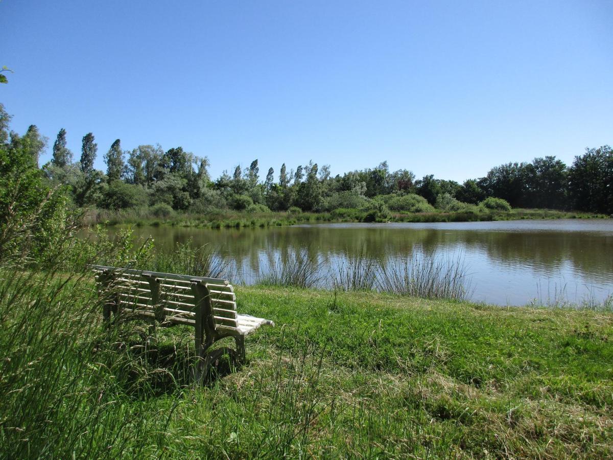 Espace Nature Studio Independant Proche Du Parc Des Oiseaux Sainte-Olive Екстериор снимка