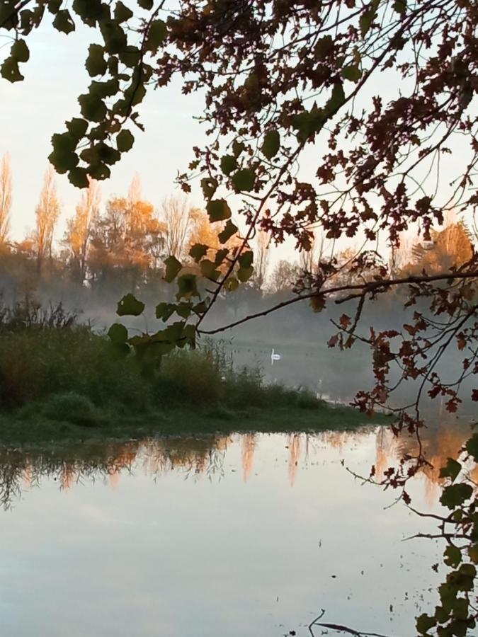 Espace Nature Studio Independant Proche Du Parc Des Oiseaux Sainte-Olive Екстериор снимка