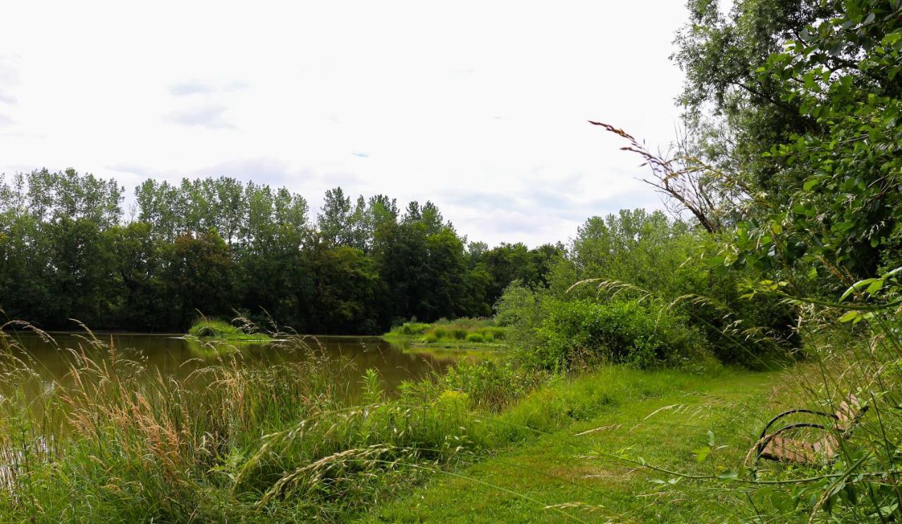 Espace Nature Studio Independant Proche Du Parc Des Oiseaux Sainte-Olive Екстериор снимка