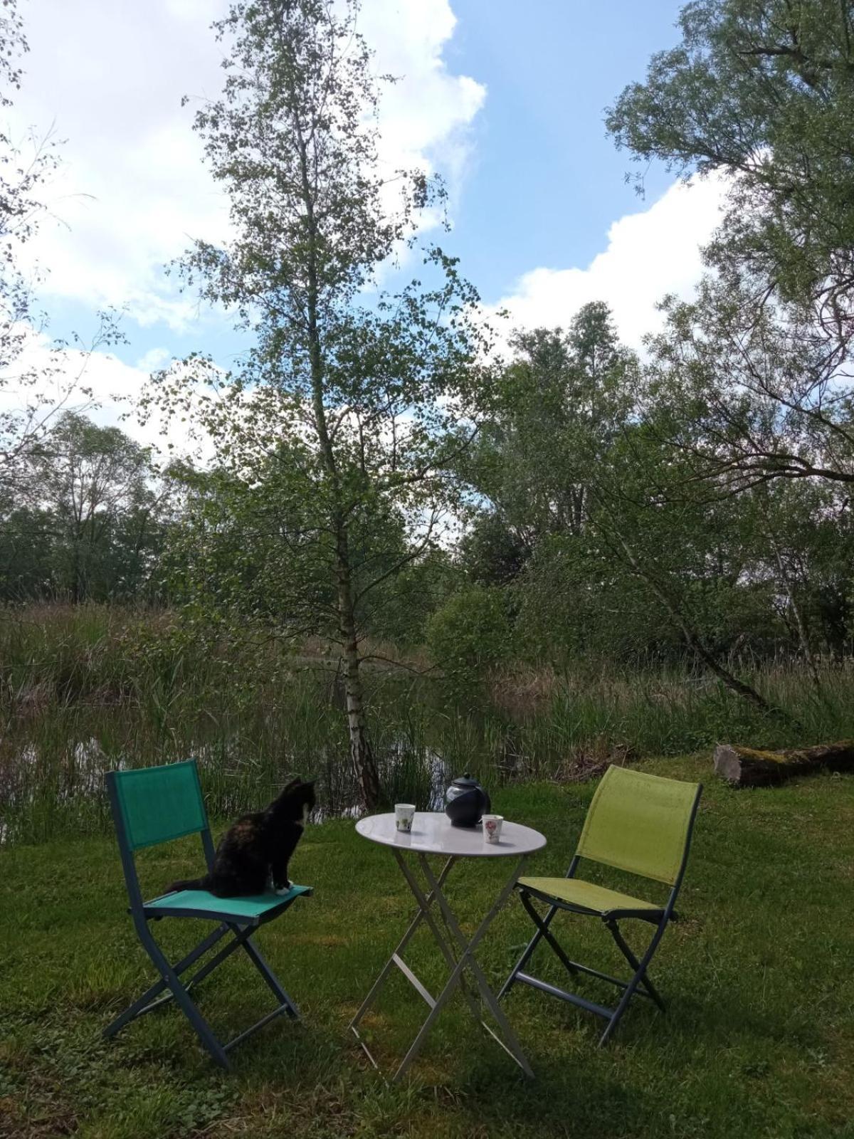 Espace Nature Studio Independant Proche Du Parc Des Oiseaux Sainte-Olive Екстериор снимка