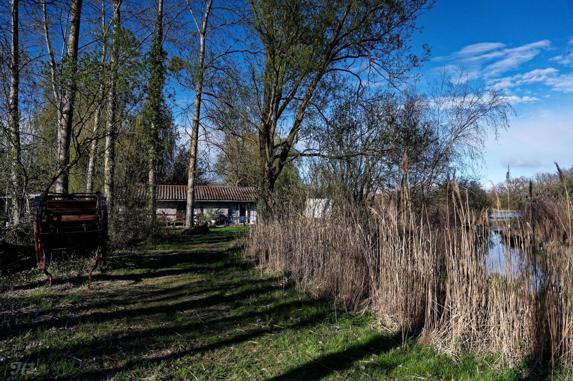 Espace Nature Studio Independant Proche Du Parc Des Oiseaux Sainte-Olive Екстериор снимка