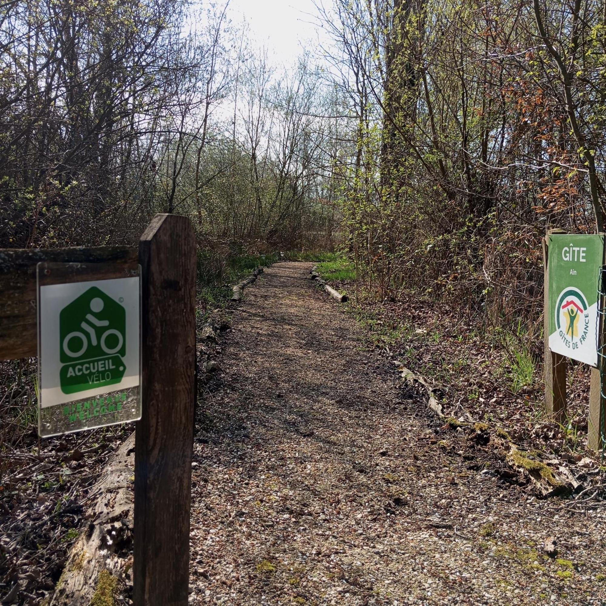 Espace Nature Studio Independant Proche Du Parc Des Oiseaux Sainte-Olive Екстериор снимка