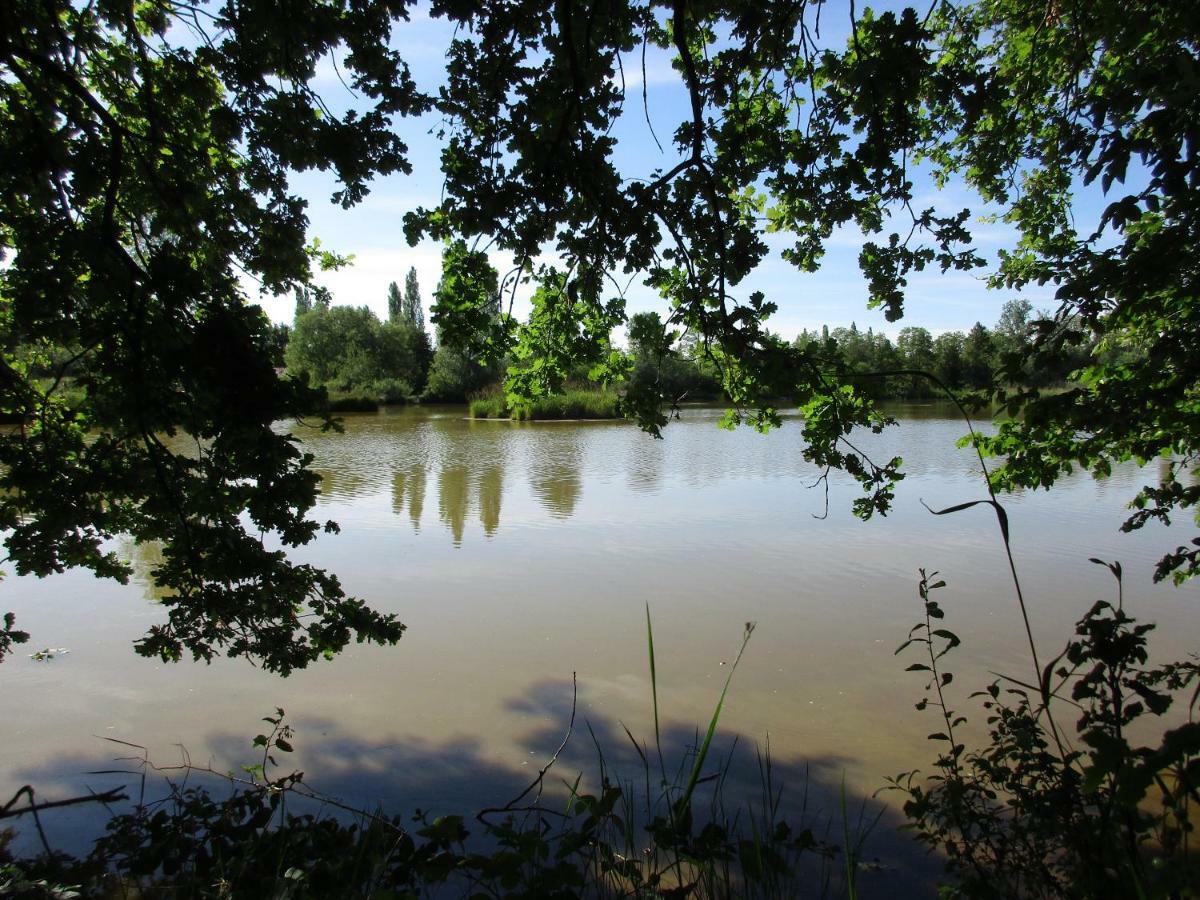Espace Nature Studio Independant Proche Du Parc Des Oiseaux Sainte-Olive Екстериор снимка